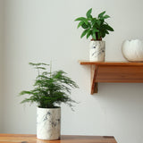 Marble Plant Pot