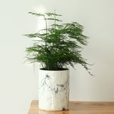 Marble Plant Pot