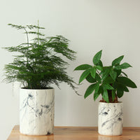 Marble Plant Pot