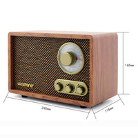 LoopTone AM/FM Classic Radio