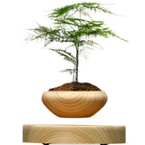 Magnetic Levitating Plant Pot