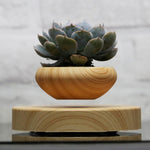 Magnetic Levitating Plant Pot