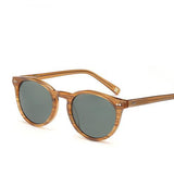 Classic Polarized Tortoise Sunglasses